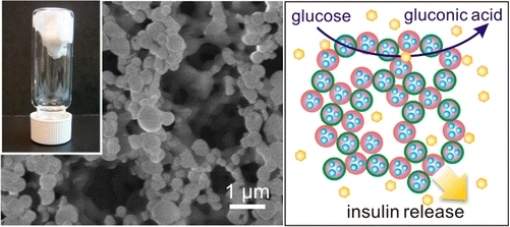 Diabetes: Nanorrede injetável controla níveis de açúcar no sangue